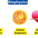 biophysics