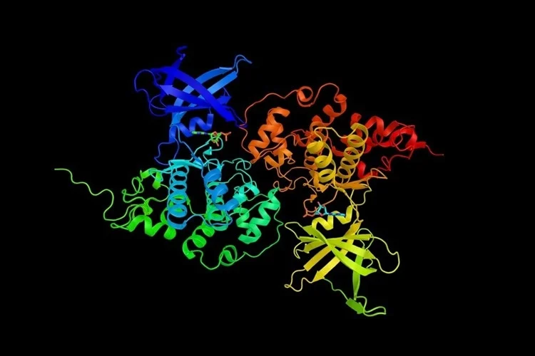 enzymology