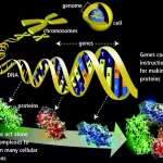 Advanced Topics in Genetics for Bioinformatics