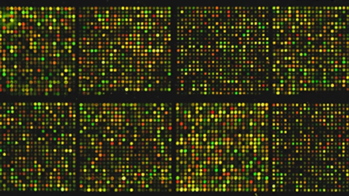 Mastering Microarray Data Analysis: A Step-by-Step R/Bioconductor ...