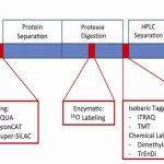 proteomics-quantative