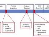 proteomics-quantative