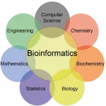 what-is-bioinformatics