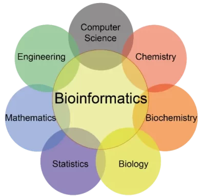 what-is-bioinformatics