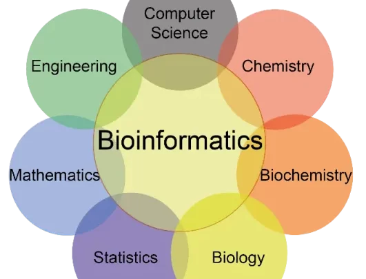 what-is-bioinformatics