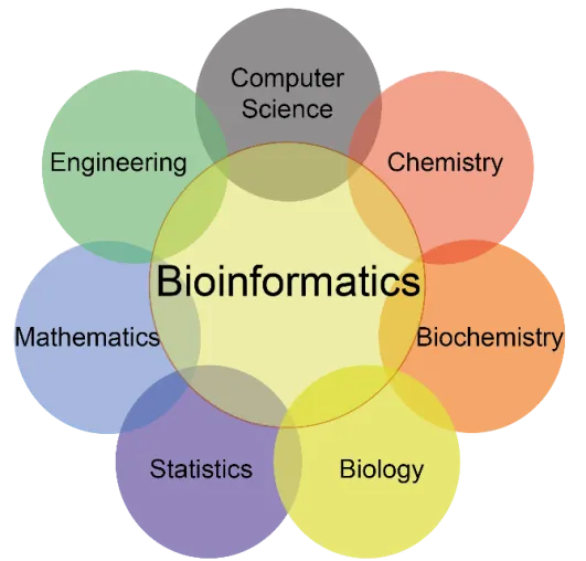 what-is-bioinformatics