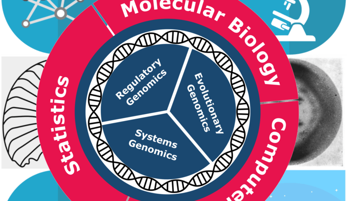 Bioinformatics research