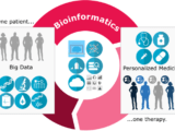 Bioinformatics for personalized medicine: the synergistic cycle of hypothesis-driven and data-driven experimentation