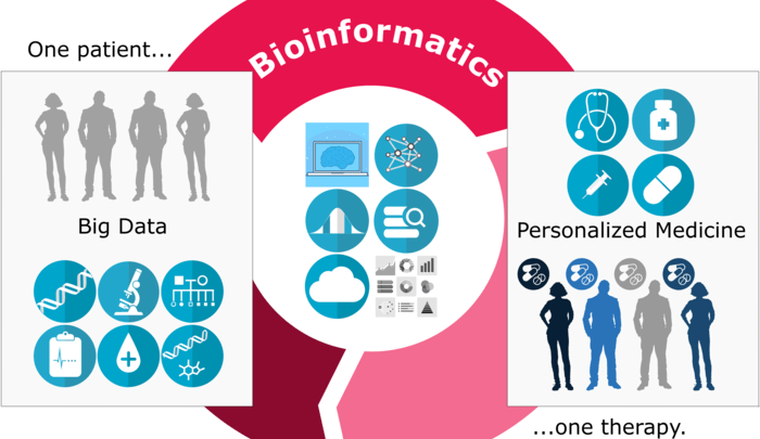 Bioinformatics for personalized medicine: the synergistic cycle of hypothesis-driven and data-driven experimentation